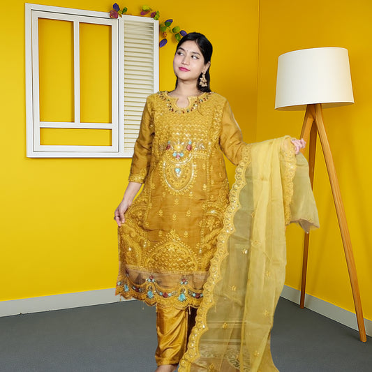 পাকিস্তানী ডিজাইনার বুটিক ড্রেস।